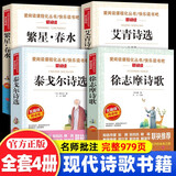 现代诗歌集精选小学生现代诗集四年级下册必读课外书 冰心繁星春水艾青诗选泰戈尔诗选徐志摩诗歌全集 4-5-6年级课外阅读书籍三四五六年级必读的课外书儿童文学 繁星.春水 小学生现代诗四年级 给孩子的诗 