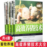 高效养猪系列 全4册 高效养猪技术 猪病防治实用手册 猪饲料科学配制与应用 幼猪饲养实用手册养殖书籍