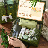 爱美礼端午节礼物送员工老师长辈夏季伴手礼盒商务公司团建礼品生日实用 绿野仙踪吸管杯+伞+毛巾（京）