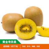 艺观园猕猴桃树果苗软枣猕猴桃树苗红心徐香猕猴桃树果苗南方北方种当年 黄金奇异果4年苗（雌性搭配两颗装）