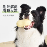 柒哦狗狗磨牙玩具耐咬发声橡胶仿真花生中大型犬柯基法斗泰迪解闷神器 一颗大花生
