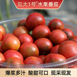 京东快递绿色食品瓦大1号鲜食水果番茄铁皮柿子水果西红柿自然熟 净重5斤精选A级果60-120克自然生张有大有小