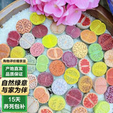 泰西丝生石花多肉PP花植物 随机屁股花10棵直径约1CM【不含盆】源头直发
