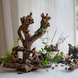 掬涵天然树根摆件微景观鱼缸造景插花禅意枯木根雕艺术品装饰摆设 天然树根摆件（大号）