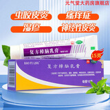 [宝树堂] 复方樟脑乳膏 15g虫咬皮炎湿疹荨麻疹瘙痒烫伤后皮肤疼痛宝肤灵 2盒-家庭常备