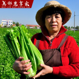 美邻惠享家新鲜西芹5斤装去叶大棵芹菜榨汁专用山东时令蔬菜香芹源头直发 草绿色 西芹5斤装普通快递