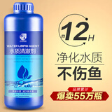 疯狂石头鱼缸净水剂水质澄清剂水族观赏鱼用品清水剂除臭不伤鱼净水清澈剂 水质清澈剂600ML
