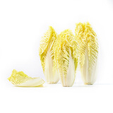 【嫩芽尖尖】娃娃菜苗（长度≤12cm）250g