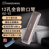 孔声【新品】12孔全音阶布鲁斯口琴EZ12成人初学十孔专业演奏乐器 12孔【C调】+全套赠品