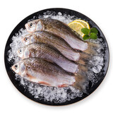 查干湖三去鲫鱼 生鲜淡水鱼天然生长捕捞 去鳞去鳃去内脏净膛新鲜冷冻 三去鲫鱼2斤（3-6条/斤）