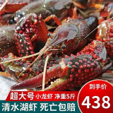 喜鲜德当日现抓 鲜活小龙虾 超大 特大活体大虾鲜活新鲜清水虾尾小青虾 超大号小龙虾 7-9钱【5斤装】