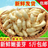 嫩姜芽仔姜新鲜子姜鲜姜5斤装山东腌制糖醋嫩生姜泡菜姜芽 500g