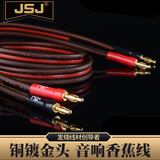 JSJ 香蕉线 音箱线 音响线 喇叭线 纯铜功放音频线连接线 香蕉头四头插头 10米