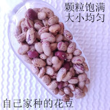 贵州特产奶花豆干四季豆米农家自种生米豆菜豆酸菜豆米花芸豆500g 花豆 500g