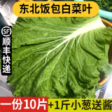 良知农哥【顺丰】东北新鲜白菜叶饭包大白菜叶子打包 新鲜蔬菜 10片菜叶+1斤小葱+酱 空运