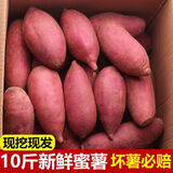 枝遥（ZHIYAO）正宗 板栗蜜薯10斤西瓜红红薯 黄心红薯现挖现发现挖新鲜蜜薯地瓜 红薯  5斤 小果