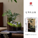 八芽趣味鲜活苔藓微型景观创意室内桌面生态绿植盆栽盆景懒人好养植物 山野人家B款-礼盒定制款 带玻璃杯
