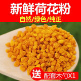 新鲜荷花粉 天然荷花花粉蜂花粉农家自产 人吃莲花粉食用250g 500g 荷花粉250g(送勺子)