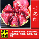 磊运石榴树树苗特大突尼斯软籽石榴带土地栽盆栽庭院果树无籽石榴树苗 世纪红 3公分粗【当年结果】 70cm(含)-79cm(含)