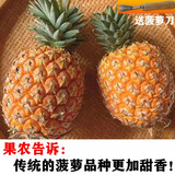 【2025现摘】香水菠萝当季应季新鲜水果广东湛江徐闻菠萝 5斤大果  2-3颗装