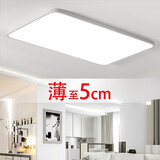 客厅灯LED吸顶灯 卧室灯 灯具照明 遥控方灯圆灯 客卧套餐 现代简约 时尚薄款 节能灯 薄66*44cm白光32W（12-16平） 白色边框