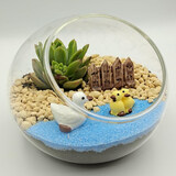 【暖场活动】微景观生态瓶多肉植物diy材料玻璃盆栽 摆件五四礼品 小鸭【10cm斜口】