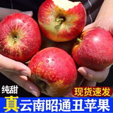正宗云南昭通丑苹果5斤装 冰糖心苹果礼盒水果脆甜红富士 精选大果 5斤中果（14个左右）