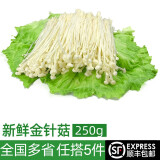 绿食者 金针菇250g 新鲜食用菌 凉拌烧烤蔬菜火锅素菜配菜麻辣烫食材