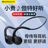 山水（SANSUI）TG13骨传导耳机运动耳机跑步无线蓝牙不入耳头戴挂耳式防汗苹果华为安卓手机通用 骨传导/HIFI无损音质/送降噪耳塞