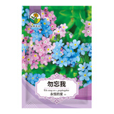 绿林花语切花勿忘我种子星辰花耐旱多年生宿根花种籽盆栽庭院花坛春秋播