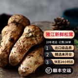 土地母亲计划 雅江松茸菌未开伞新鲜松茸鲜菌菇冷链空运现货快至24H达团购送礼 【精品礼盒】5-7cm 1000g