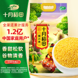 十月稻田 黄小米 溯源  2.5kg（小黄米 小米粥 五谷杂粮 粥米 ）