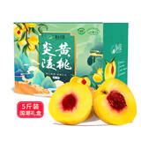 炎陵黄桃湖南炎陵高山黄桃红心脆甜生鲜水果 家庭畅享5斤装(9-12个)|JD快递