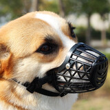 dogstory狗嘴套宠物口罩中大型犬通用防咬保护套金毛柯基泰迪 黑色 M（适合20斤狗狗）