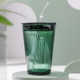 WINTERPALACE吸管杯成人家用女士玻璃水杯口杯早餐杯牛奶杯子高颜值咖啡杯 450ml 杯+吸管