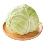 【霜打菜】高原面包甘蓝约500g
