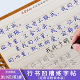 晟邮（SHENG YOU） 行书楷书凹槽练字帖成人大小学生儿童练字板小学生男生女生硬笔书法钢笔练字贴 人间词话单本装（送10芯1笔1握）