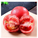 京地达栗贝诺普罗旺斯口感番茄西红柿多汁沙瓤单果约150克3斤装源头直发