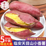 薯小萌正宗天目山临安小香薯5斤沙地红薯山芋正宗现挖板栗小番薯礼盒 天目山香薯5斤大果