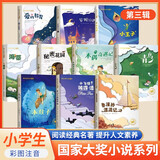 套装10册 国际大奖小说：注音版小学生一二三年级必读儿童文学课外阅读书籍国际获奖小说：爱的教育安妮日记小王子海蒂秘密花园木偶奇遇记青鸟水孩子鲁宾逊漂流记小飞侠彼得·潘 跟着教材读名著