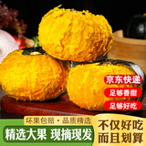 冉沃优选贝贝南瓜新鲜蔬菜软糯香甜细腻小南瓜粉糯轻食正宗南瓜山东 特惠山东瓜带箱 5斤