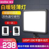 神牛（Godox） P120C-P260C LED补光灯平板摄影灯直播网红主播灯可调色温摄像灯柔光灯美食婚庆打光摄像补光灯 【4】P120C补光灯+6000电池+充电器