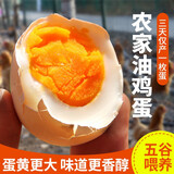 密农人家 新鲜油鸡蛋农家土鸡蛋杂粮喂养柴鸡蛋月子蛋 3天内现捡鲜蛋30枚