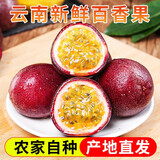 张小壮 百香果 云南精选高山百香果 A级果 新鲜水果 产地直发 精选12个