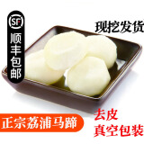 【顺丰】广西桂林马蹄 荔浦荸荠 脆甜无渣 新鲜马蹄蔬菜 3斤 去皮大果 |真空