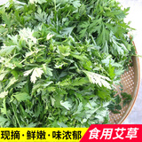 旷古农业艾草新鲜 艾草叶嫩艾蒿 青团蒿子粑粑清明果蔬菜食材 健康轻食 3斤