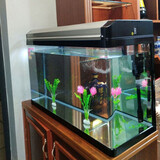 宝贝故事（BABY STORY）生态鱼缸水族箱 玻璃鱼缸客厅家用免换水鱼缸懒人鱼缸一体缸热弯 60长30宽50高 香槟色鱼缸+过滤+灯