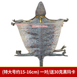 蛤蚧一对带头足（2只）蛤蚧精制中药材 gejie进口哈蚧补肺益肾纳气定喘助阳益精 泡酒中药材店铺 一对/两只（特大号肩宽约15-16cm）
