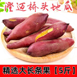 山海言海南直发 正宗海南澄迈桥头地瓜 红薯富硒地瓜新鲜现挖板栗番薯 精选 大长条果 5斤 【单果150g起】