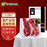 伊赛国产原切去骨牛肋条1kg 生鲜牛肉 烧烤炖煮食材 肉质鲜嫩 